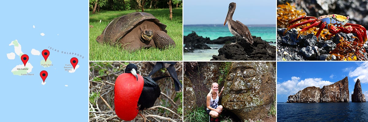 Reiseberichte Galapagos-Inseln