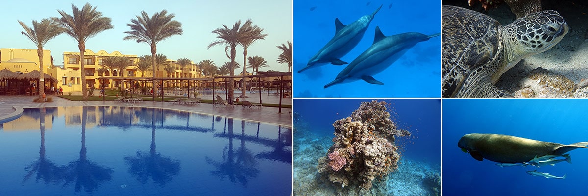 Unsere Reiseberichte vom Marsa Alam