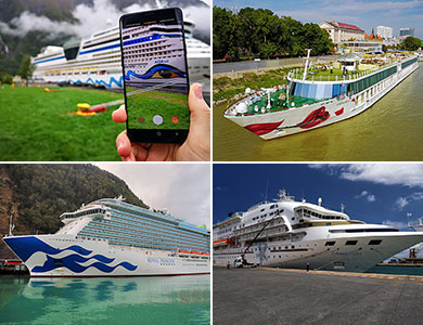 Our cruises